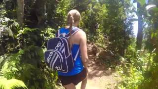 Mount Warning Hike