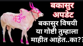 बकासुर माहिती...अपडेट ✅#bailgada#bakasur#shorts#viral#bailgadasharyat#बैलगाडा#बैलगाडाlover#cow#bull 