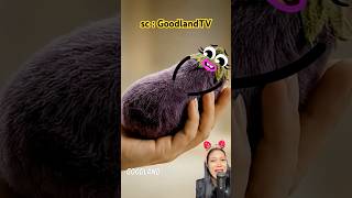 Theres Something Inside The Eggplants Stomach 