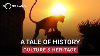 Details So Sri Lanka - Exploring Centuries of History in an Afternoon News
