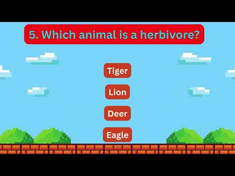 The Food Chain MCQ Quiz for Students Learn with Fun Questions