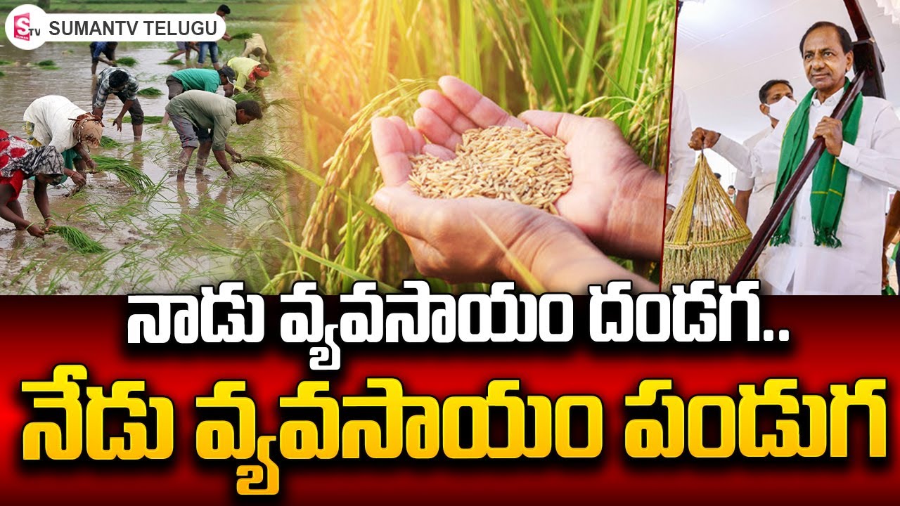 Agriculture Development In Telangana | Telangana Agriculture Productivity | 