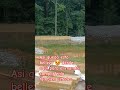 construyendo un lago parte 2