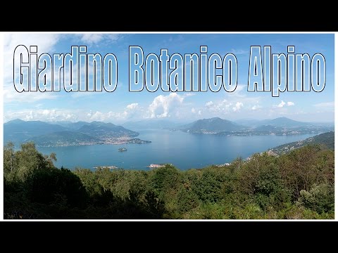 Video: Alpská botanická záhrada (Giardino Botanico Alpino) popis a fotografie - Taliansko: Jazero Maggiore