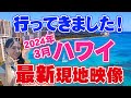 【ハワイ旅行】2024年2.3月ハワイ最新現地映像！雨期、冬のハワイの様子やオススメスポットなどハワイのベストシーズンは？