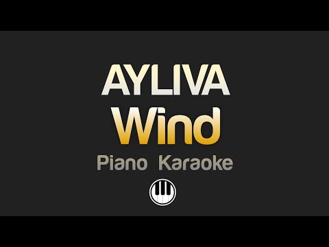 AYLIVA Wind Karaoke 