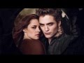 THE TWILIGHT SAGA BREAKING DAWN