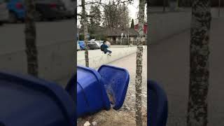 A day with the bottle flip guys and that STRAY LUDVIG