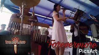 Forevermore - Dreamcatcher Acoustic Tribes