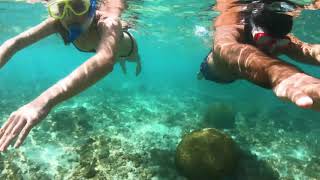 Chogogo Dive & Beach Resort Curacao