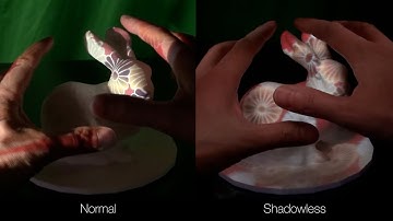 [Fast forward video] Shadowless Projection Mapping using Retrotransmissive Optics
