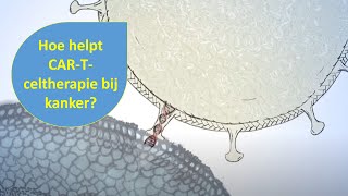 Animatie Car-T-Celtherapie Immuuntherapie Hulpmiddel Bij Bloedkanker Uitgelegd