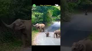 Wait, I Will Come Too