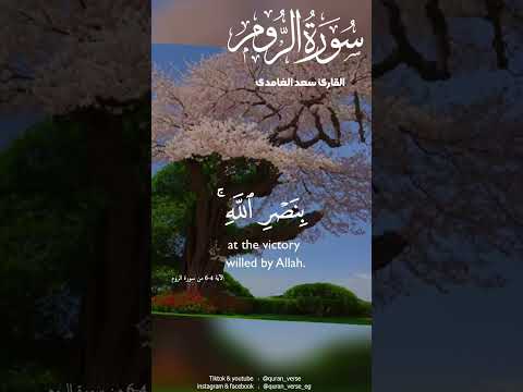 لله الأمر من قبل ومن بعد ويومئذ يفرح المؤمنون سورةالروم تلاوةخاشعة سعد الغامدي