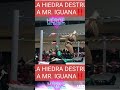 ‼️Así se llevaron la Segunda Caída La Hiedra y Bengala VS Mr iguana y Reina Dorada ‼️😱