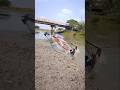 Big Fish Catch in River Net 🎣 #fishing #riverfishing #villagelife #shortvideo #shorts #villagelife