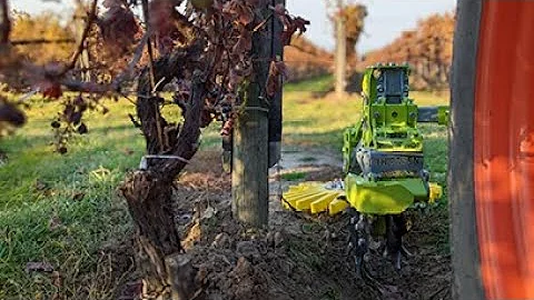 The Best Under-Vine Cultivation Solution - Mechanical Weed Control