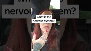 what is the nervous system?
