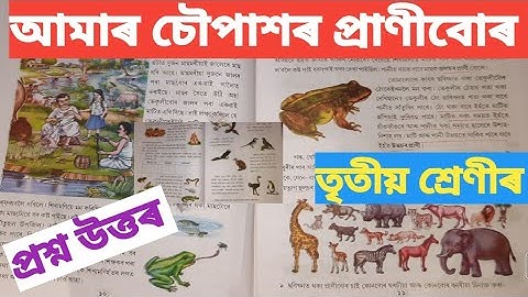আমাৰ চৌপাশৰ প্ৰাণীবোৰ || Class 3 Evs Chapter 2 Questions answer || Evs Class 3 || Class 3 #class3