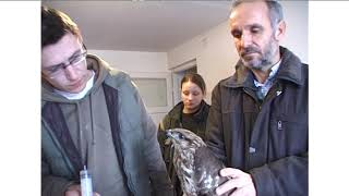 20180906 korkep 221 adas