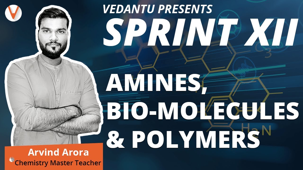 jee main college predictor Amines|Bio-molecules |Polymers |Class 12 Chemistry |Chemical Reactions| Class 12 Board Exam |Vedantu
