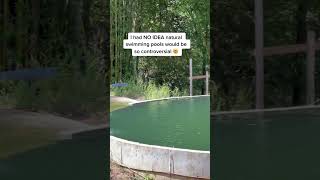 Why Are Natural Swimming Pools So Controversial? 🤯