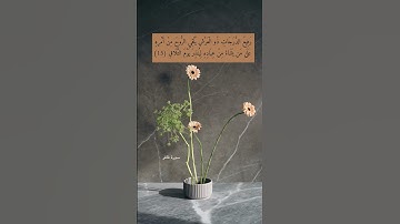 آية ١٥ "رفيع الدرجات ذو العرش يلقي الروح من أمره" من سورة غافر | اللهم اجعلنا ممن تشاء لما تحب وترضى