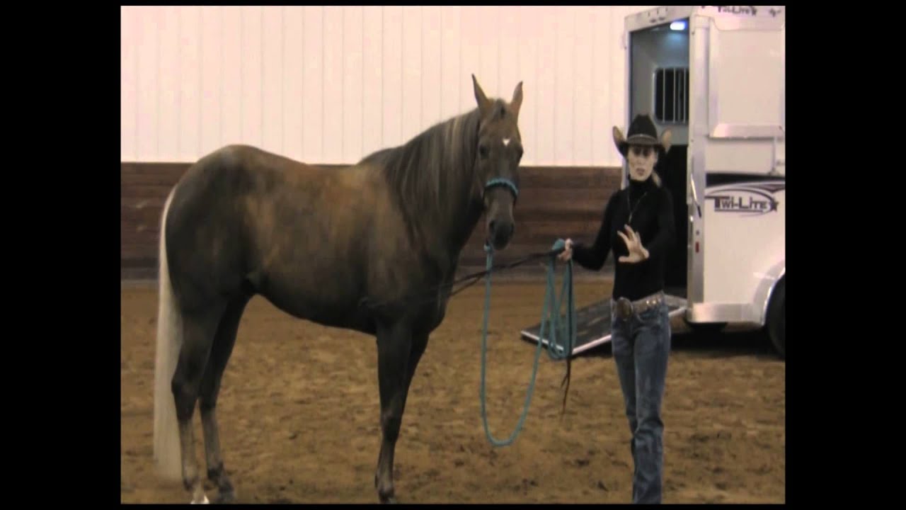 Stacy Westfall horse training lesson with Twilite Trailers Part 1