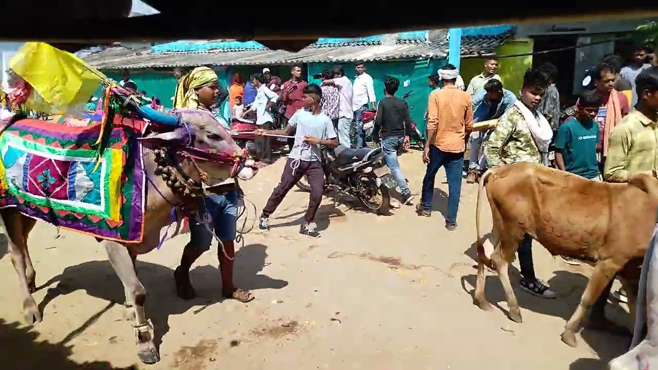 Bagdona Deepawali 2022 🎥Video