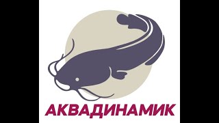 :   