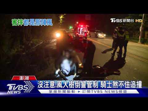 沒注意!風大樹倒警管制 騎士煞不住追撞