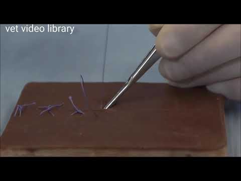 Simple Continuous Suture Pattern
