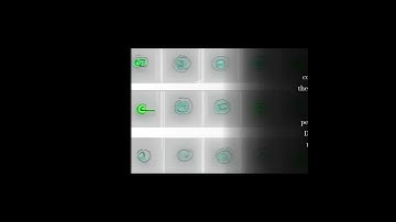 Deep Neural Network Based Demand Side Short Term Load Forecasting | RTCL.TV