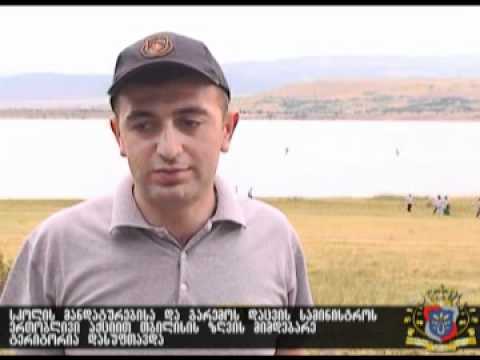 დასუფთავების აქცია