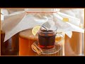 The Secret Science Behind the KOMBUCHA Starter TEA