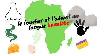 Vocabulaire du toucher et de lodorat en langue bangwa, balengou13