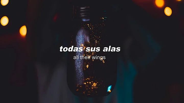 AG - Shine A Light (feat. Connie Lim) Sub Espaol/L...
