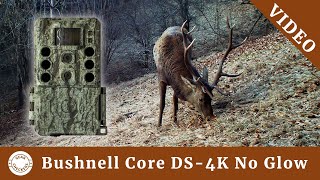 Fotopasca Bushnell Core DS-4K No Glow | VIDEO
