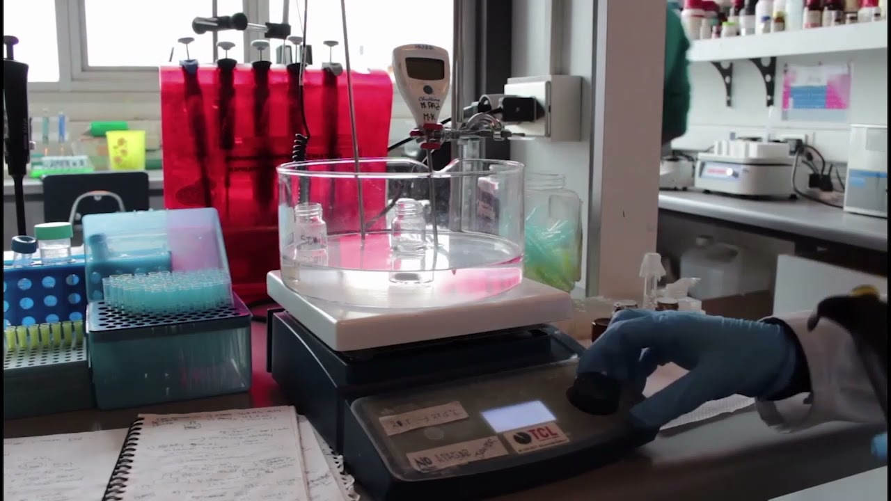 SÍNTESIS DE NANOPARTÍCULAS DE ORO: NANOESFERAS Y NANOBARRAS