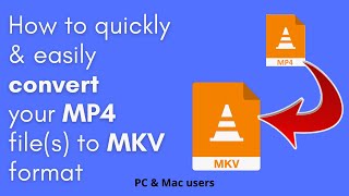 How to convert MP4 to MKV quickly & easily (PC & Mac users) screenshot 2