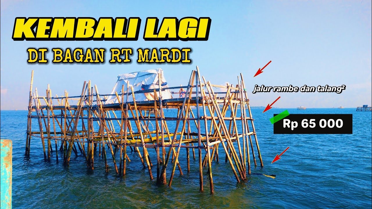 Kecuutttt ‼️jangan coba² bawa udang sedikit, mancing di bagan rt mardi, | full betting Rp 65.000