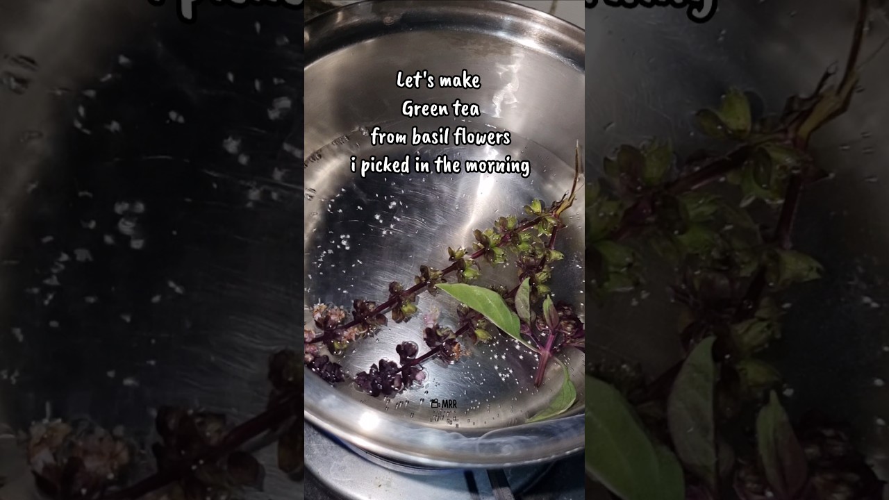let's make Green Tea from Basil flowers i picked