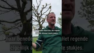 Het regende zwarte stukjes | #shorts