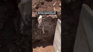 Birde Bu Açıdan Bakalım.