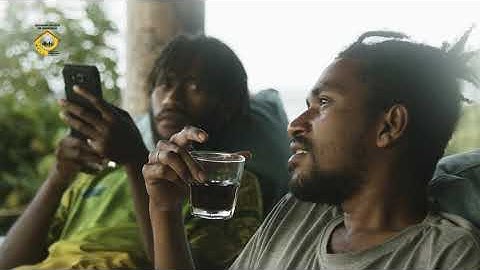 Data collection video