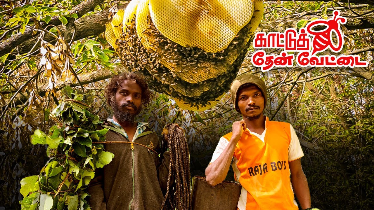 கடுகுதடி காட்டில் தேன் வேட்டை | Honey hunting in Kaduguthadi forest | Thrilling Hunting Experience
