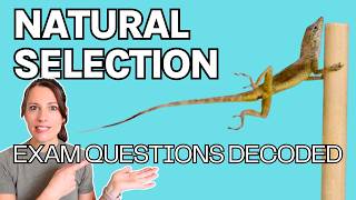 How to Answer ANY Natural Selection Exam Question (Real Study Breakdown) | Dissect the Biology E1