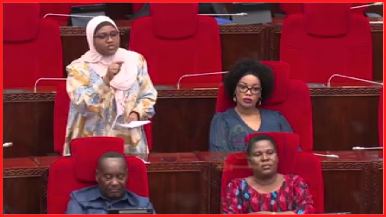 MARIAM DITOPILE Alia na Waziri UFUGAJI Kondoa Mjini - 