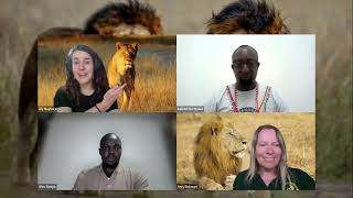 World Lion Day webinar - 2026