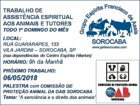 Assista: Palestra presencial - c/ ROGER YABIKU (06/05/2018)